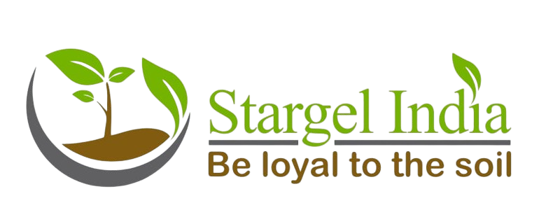 Stargel India Logo